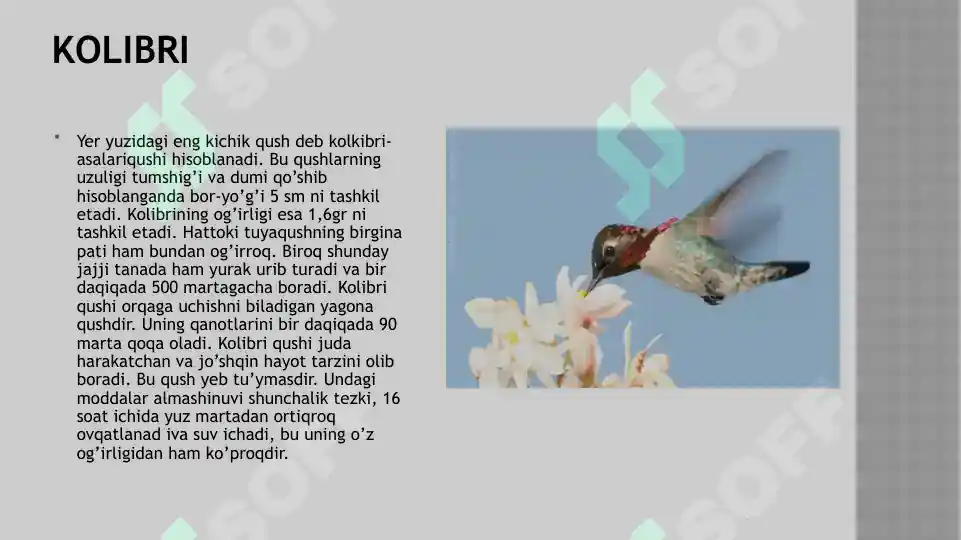 Product slide 4