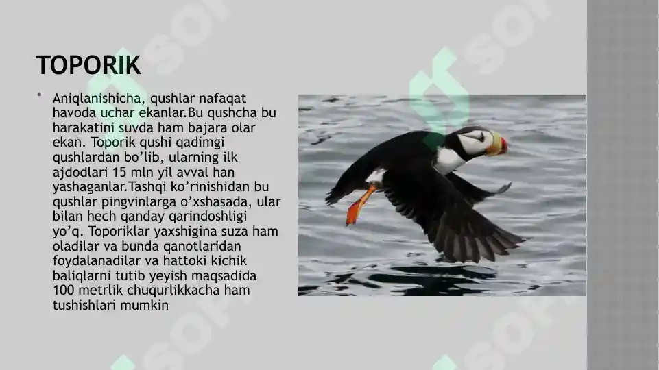 Product slide 7
