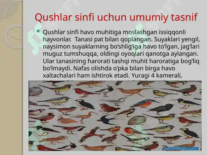 Product slide 5