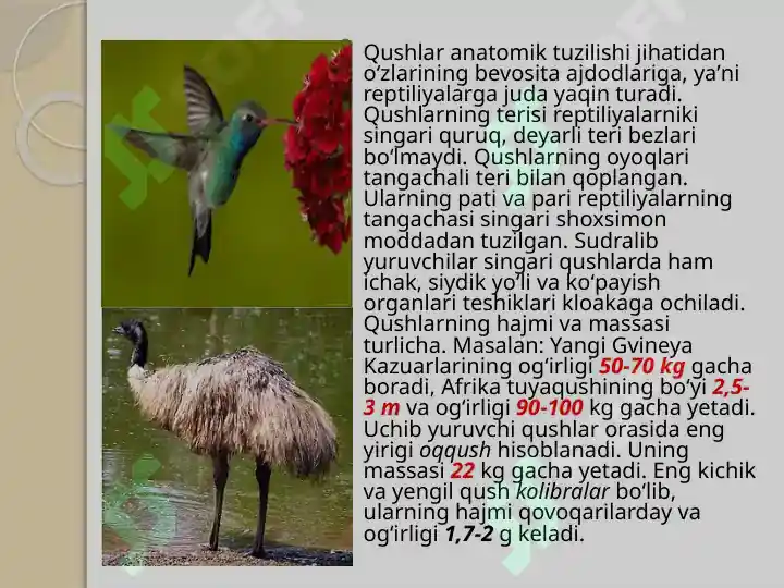 Product slide 7
