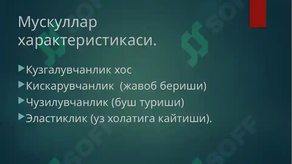 Product slide 4