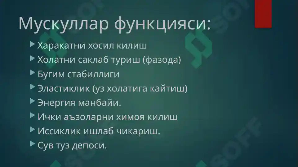 Product slide 5