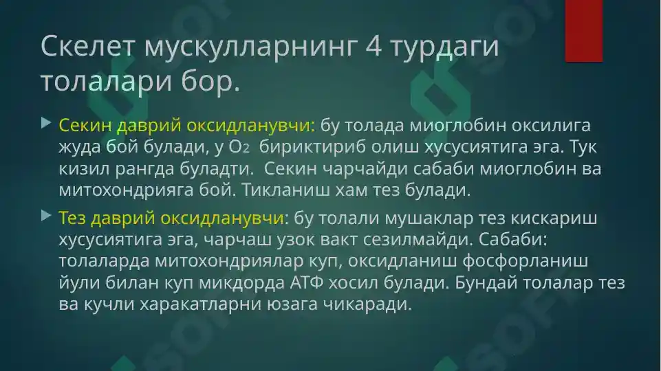 Product slide 6