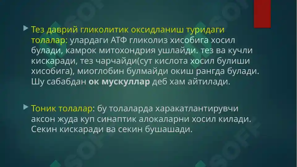 Product slide 7