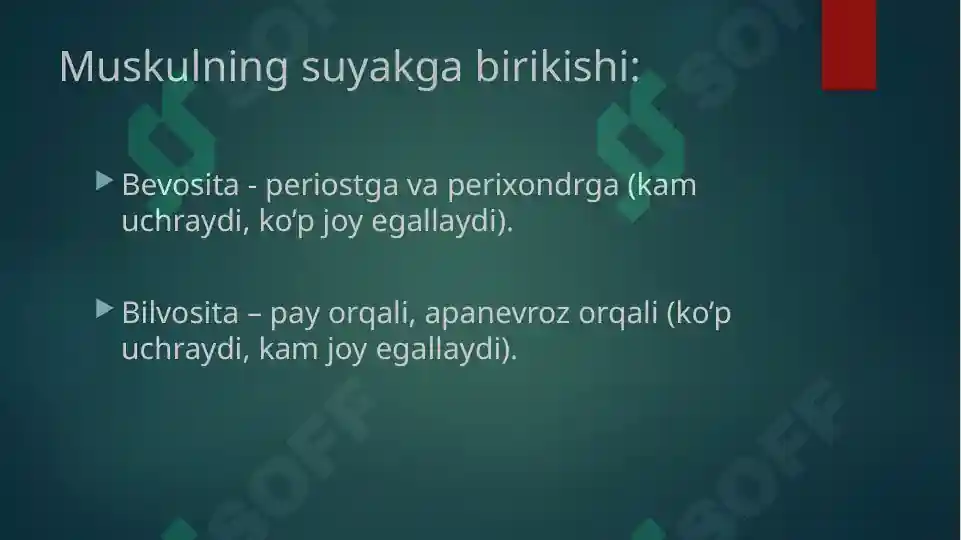Product slide 8