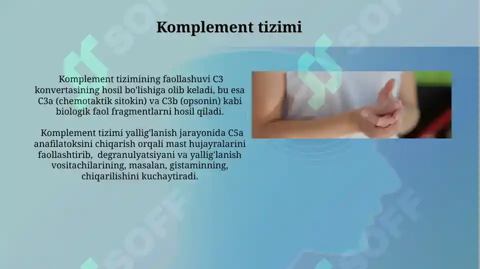 Product slide 8