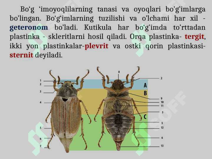 Product slide 6