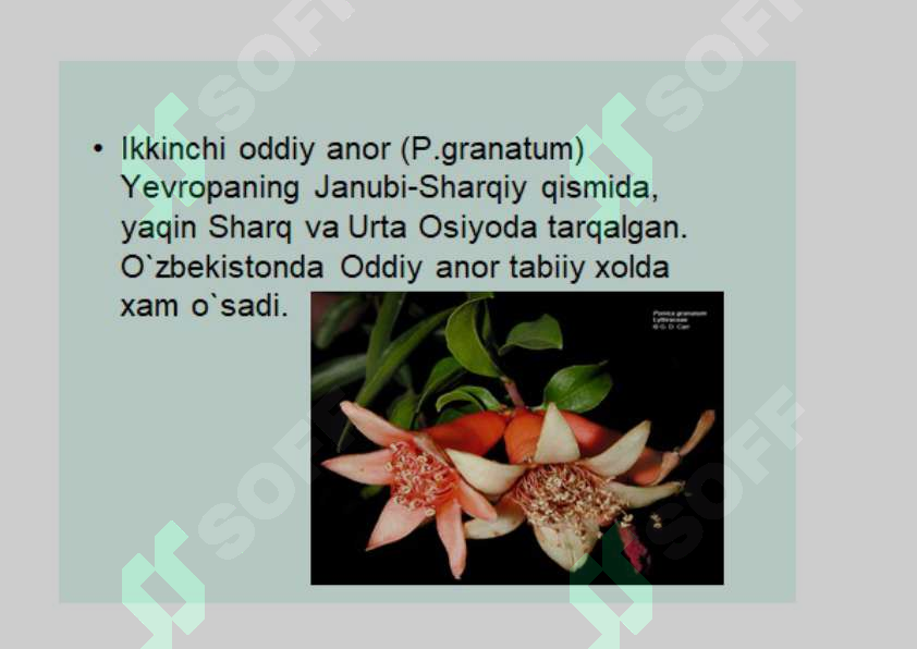 Product slide 6