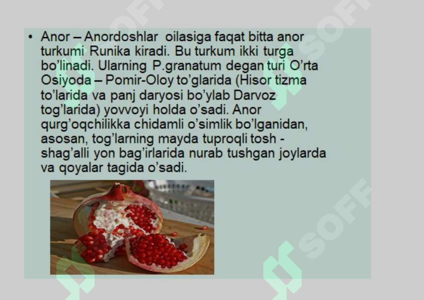 Product slide 8