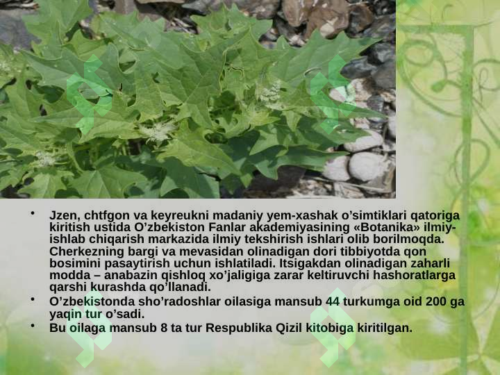 Product slide 8