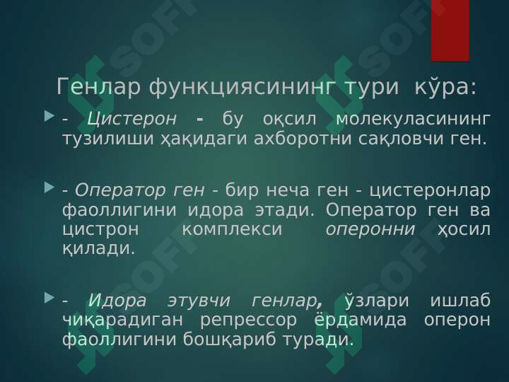Product slide 5