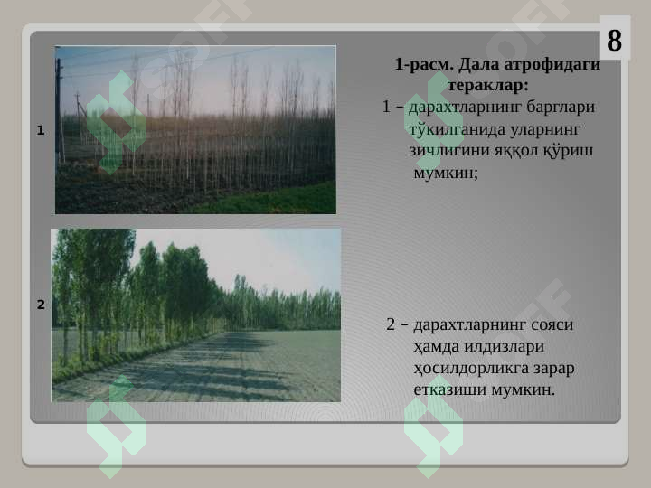 Product slide 8