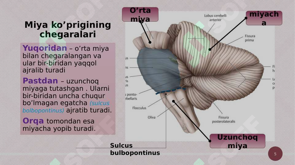 Product slide 5