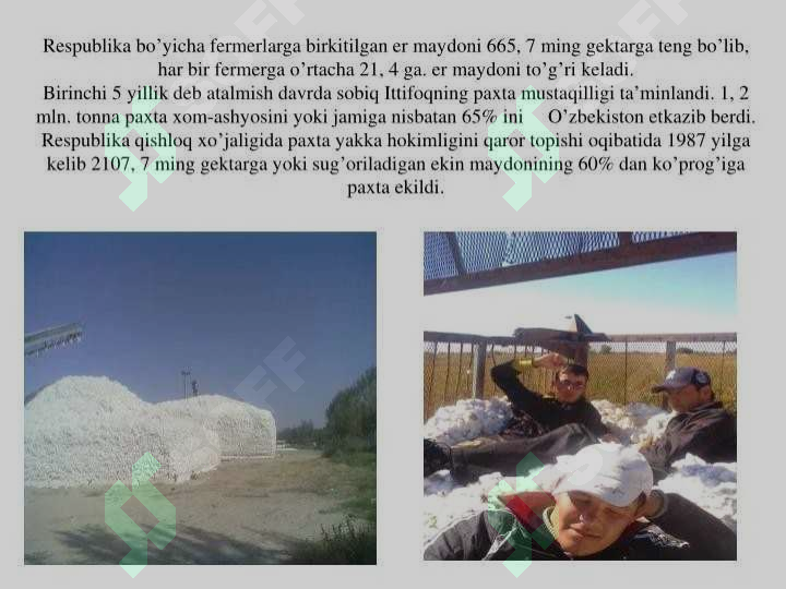 Product slide 7