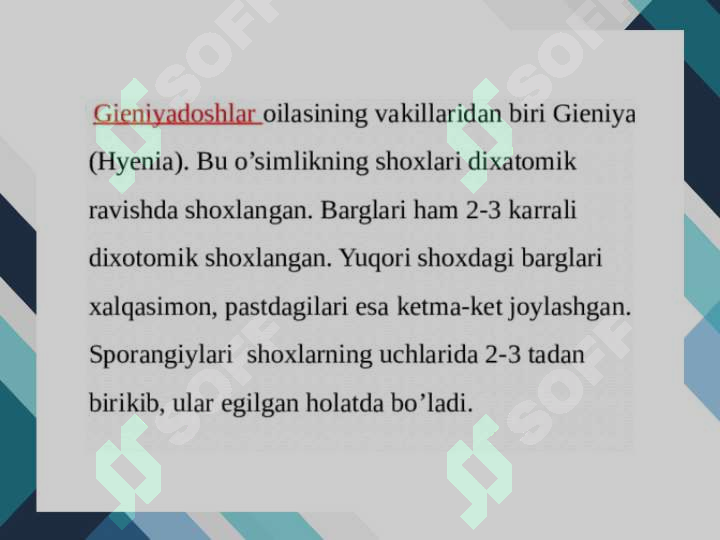 Product slide 6