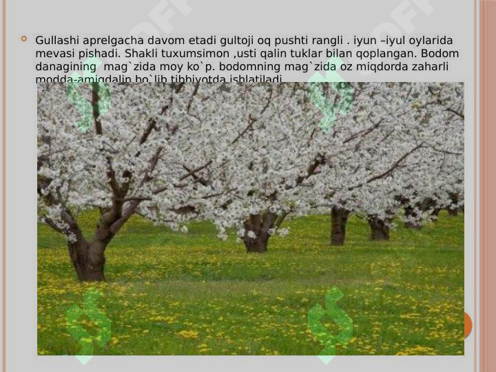 Product slide 6