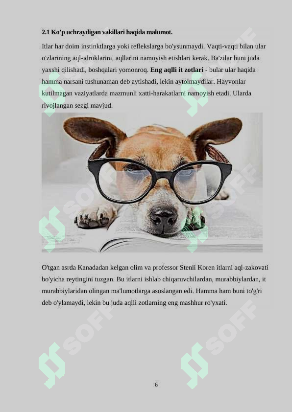 Product slide 6