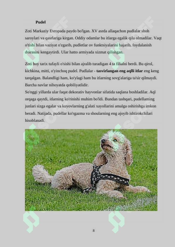 Product slide 8