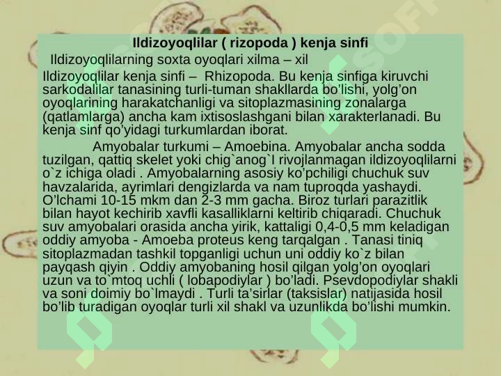 Product slide 8