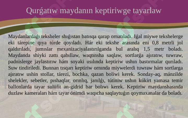 Product slide 7