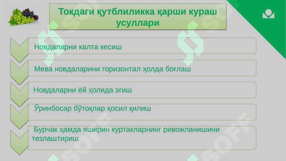 Product slide 6