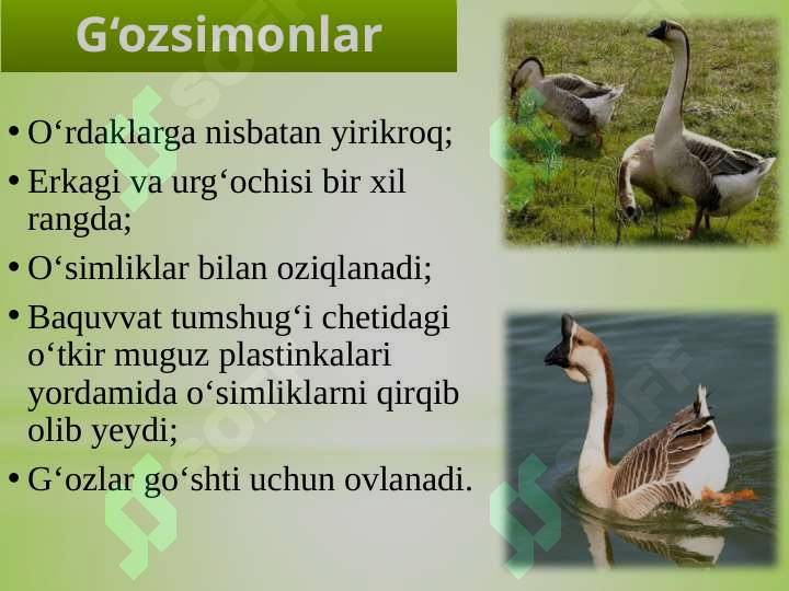 Product slide 5