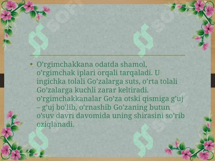 Product slide 6