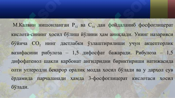 Product slide 6