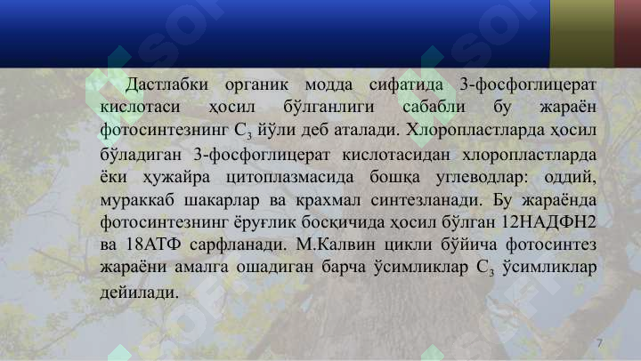 Product slide 7