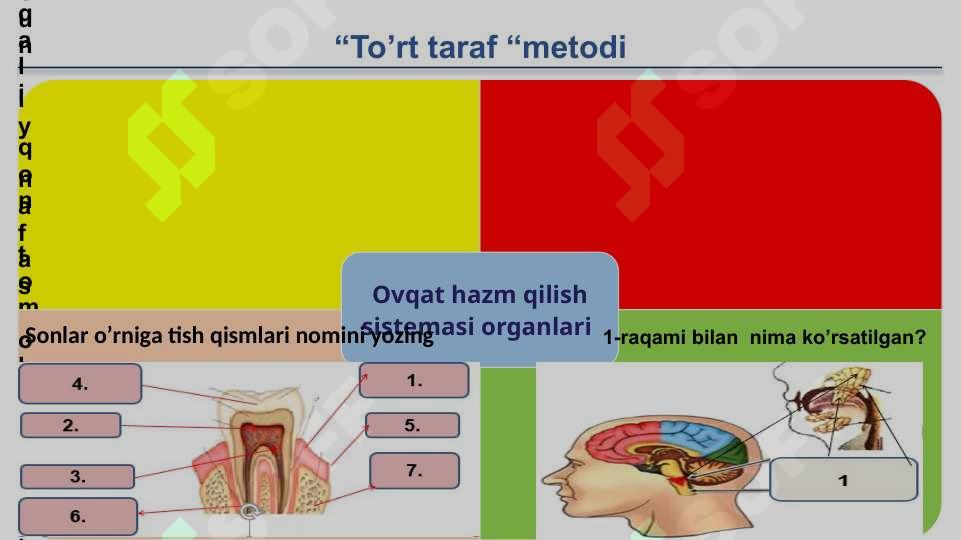 Product slide 7