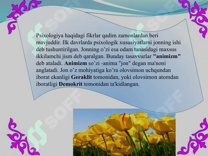 Product slide 7