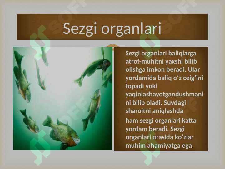 Product slide 7