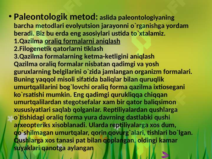 Product slide 8