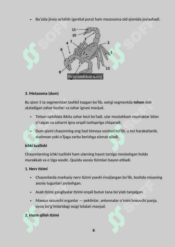 Product slide 8