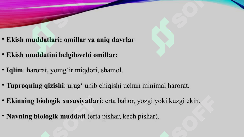 Product slide 7