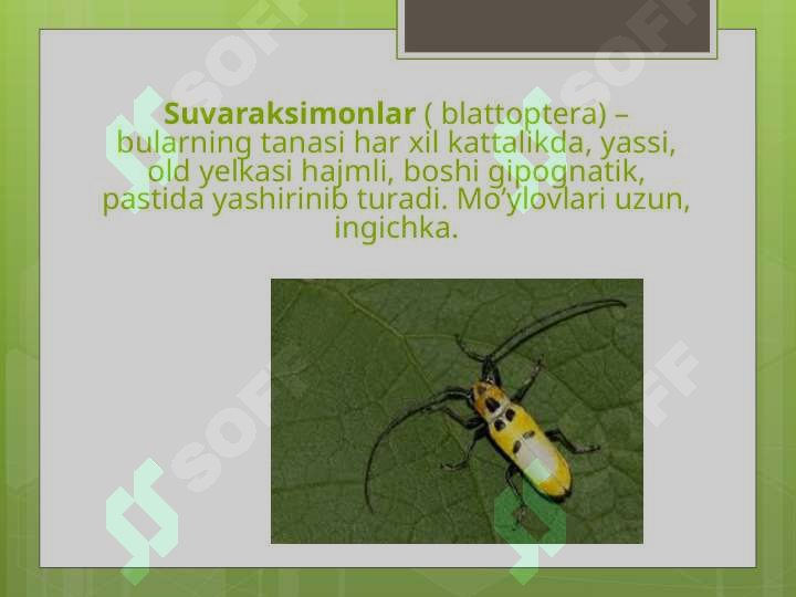 Product slide 6