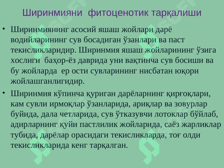 Product slide 7