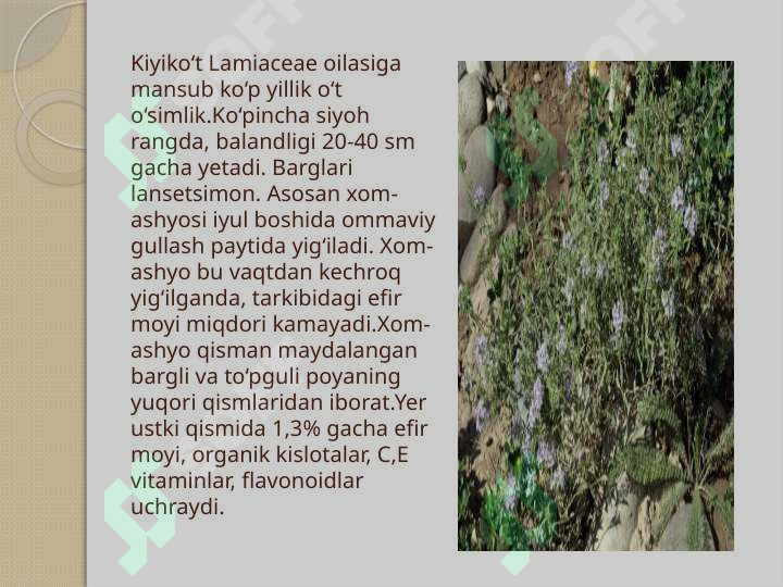 Product slide 7