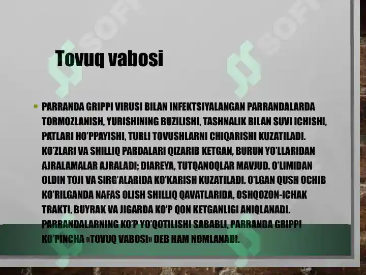 Product slide 8
