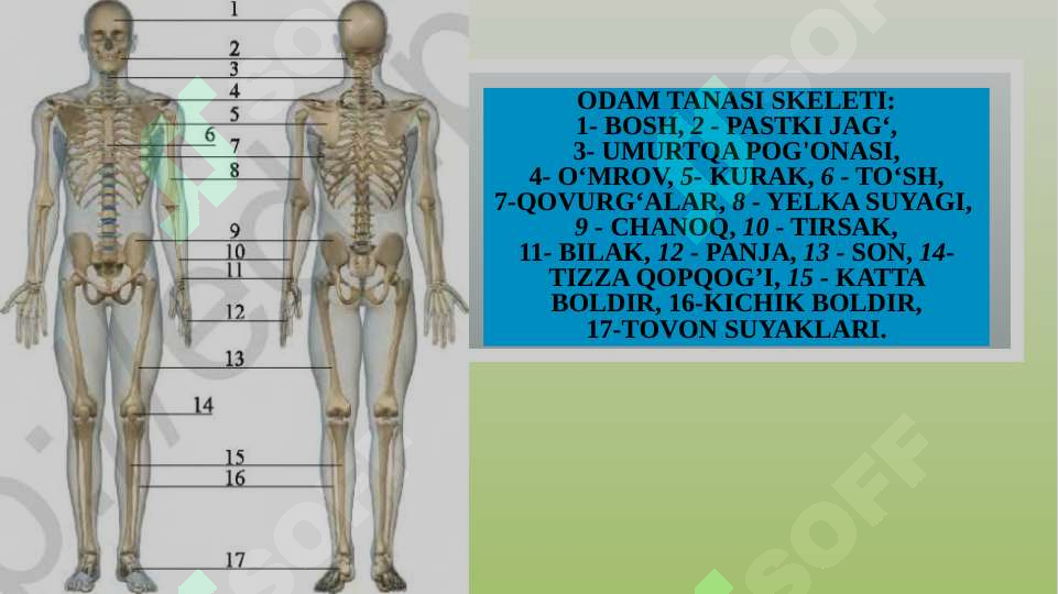 Product slide 5