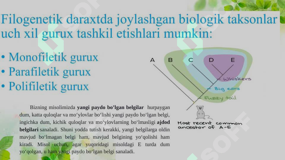 Product slide 6