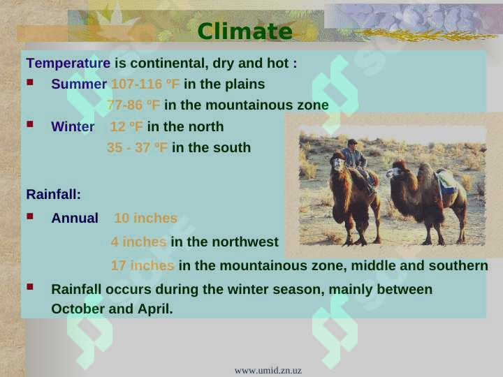 Product slide 6