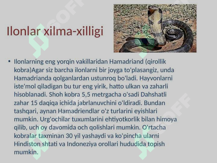 Product slide 6