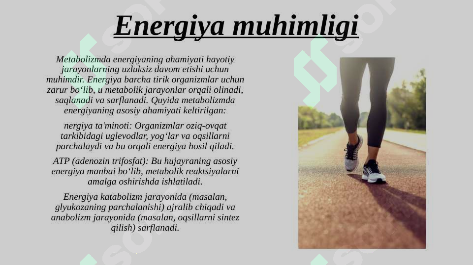 Product slide 5