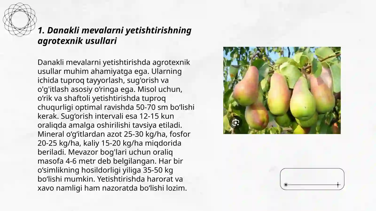 Product slide 3