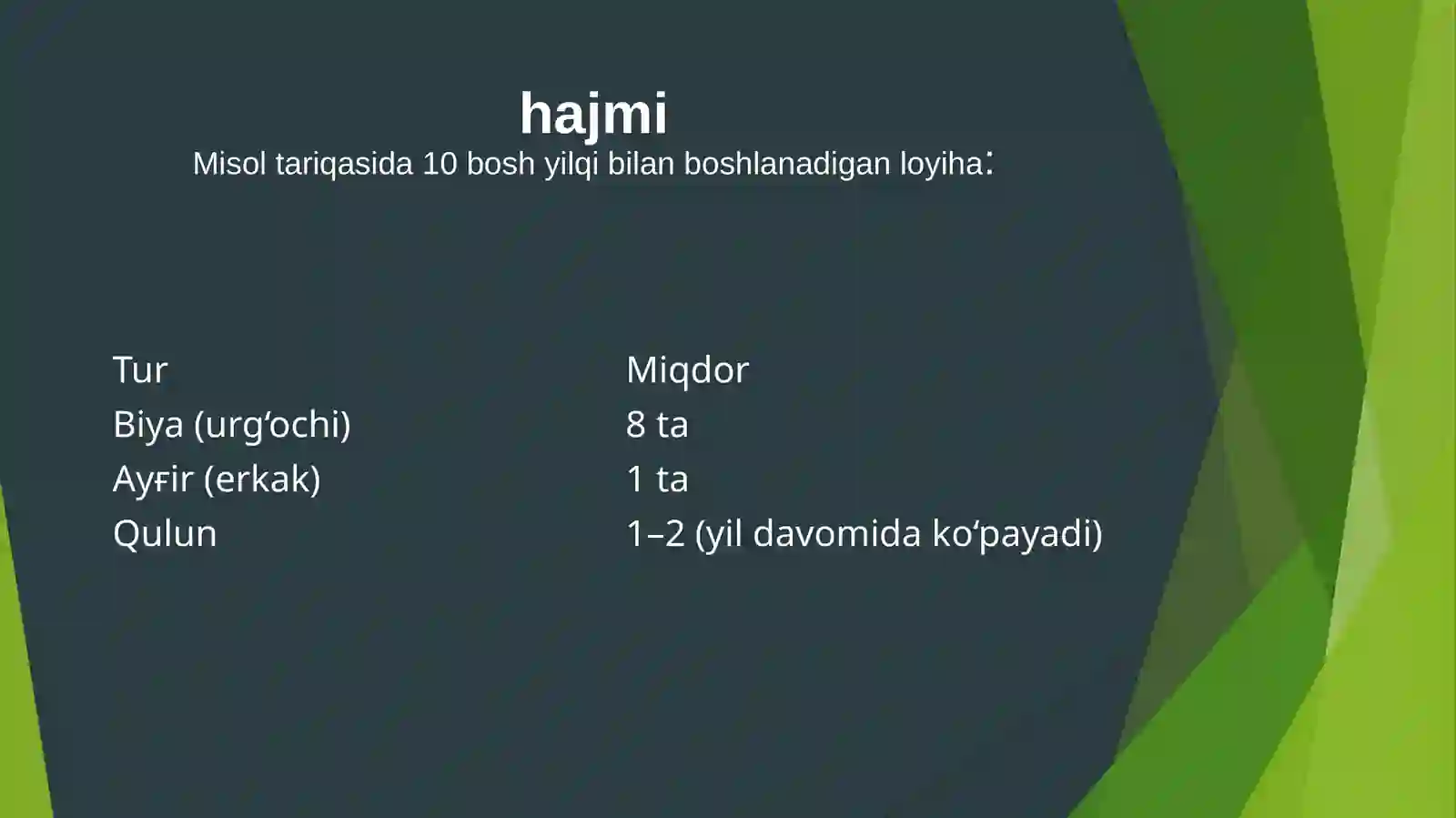 Product slide 3