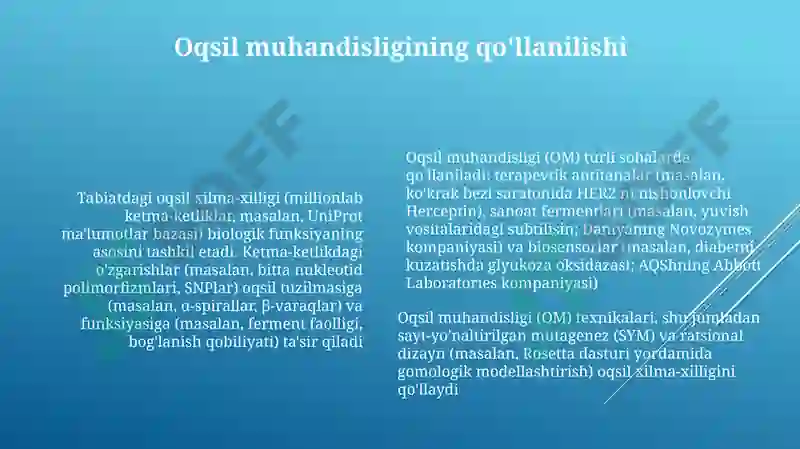 Product slide 6