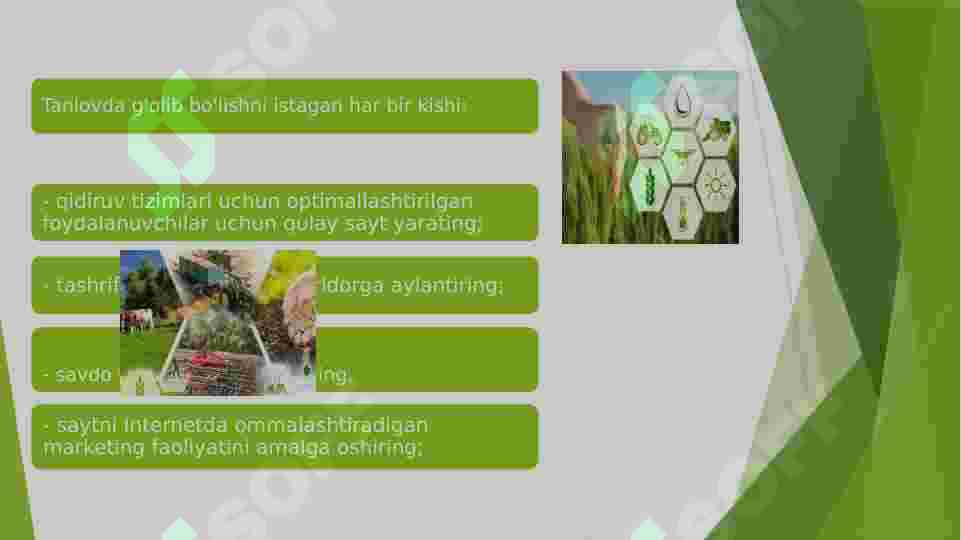 Product slide 7